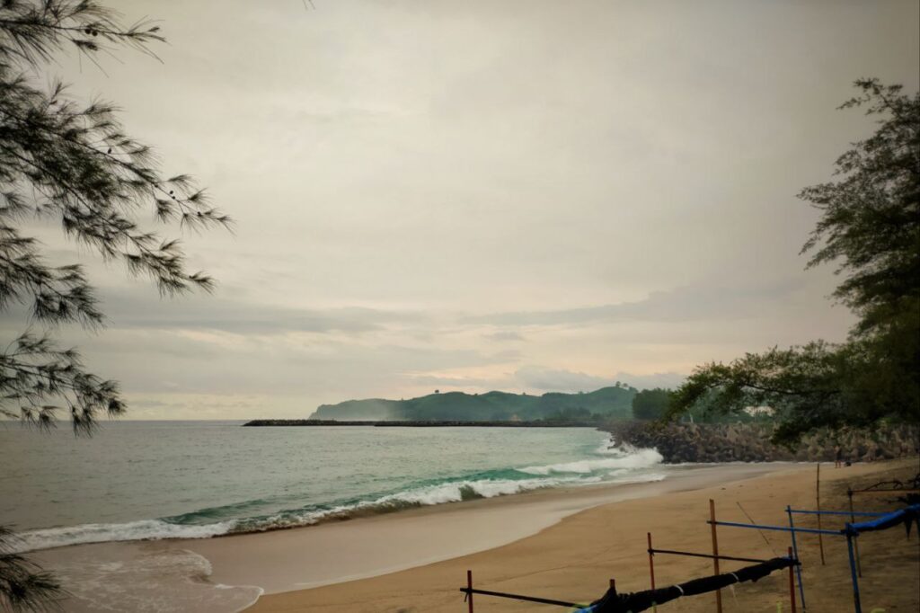 Fresh seafood stalls at Tambakrejo Beach East Java