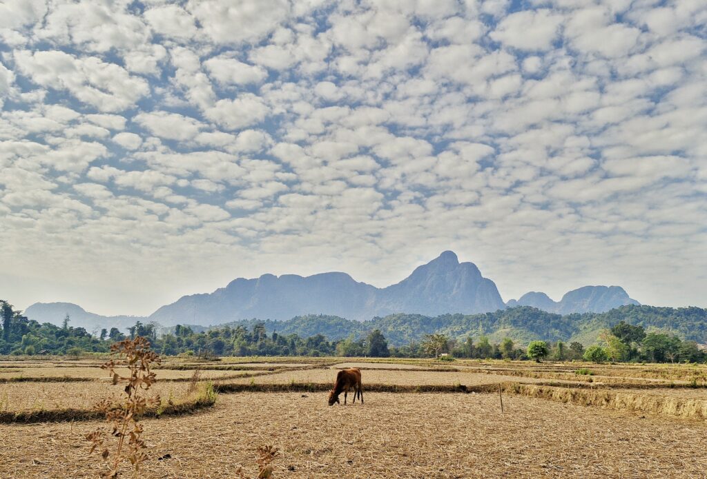 Scenic view of Vang Vieng countryside surrounded by limestone karst formations