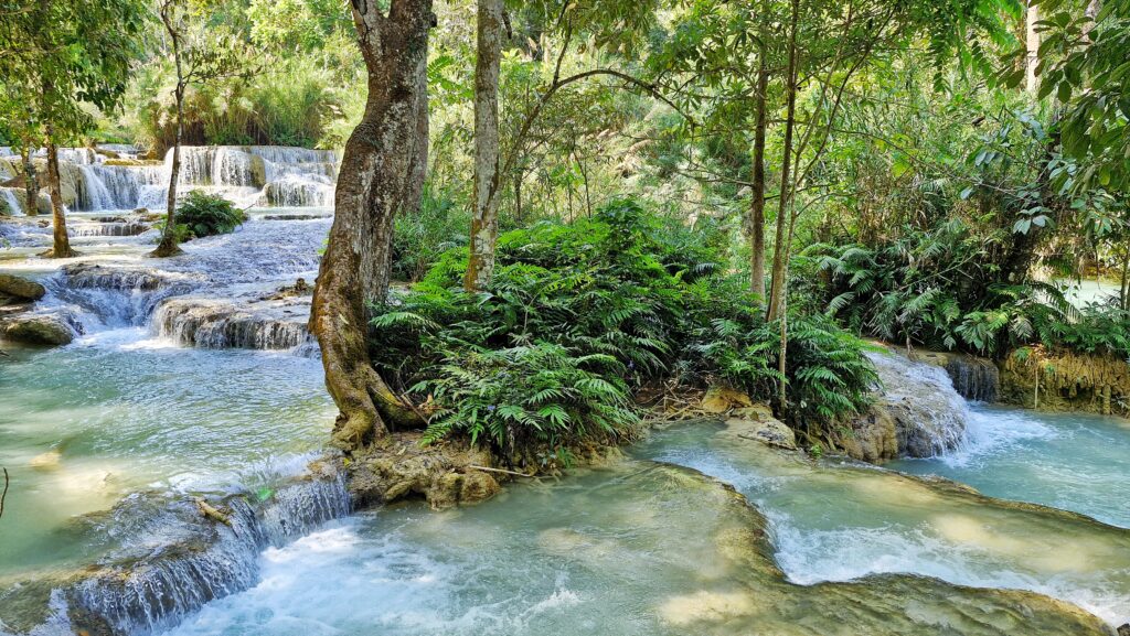 jungle waterfall scenery at kuang si falls