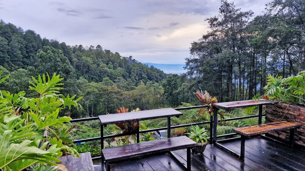 Cozy café at Sarangsari Hills Sarangan with natural landscape background