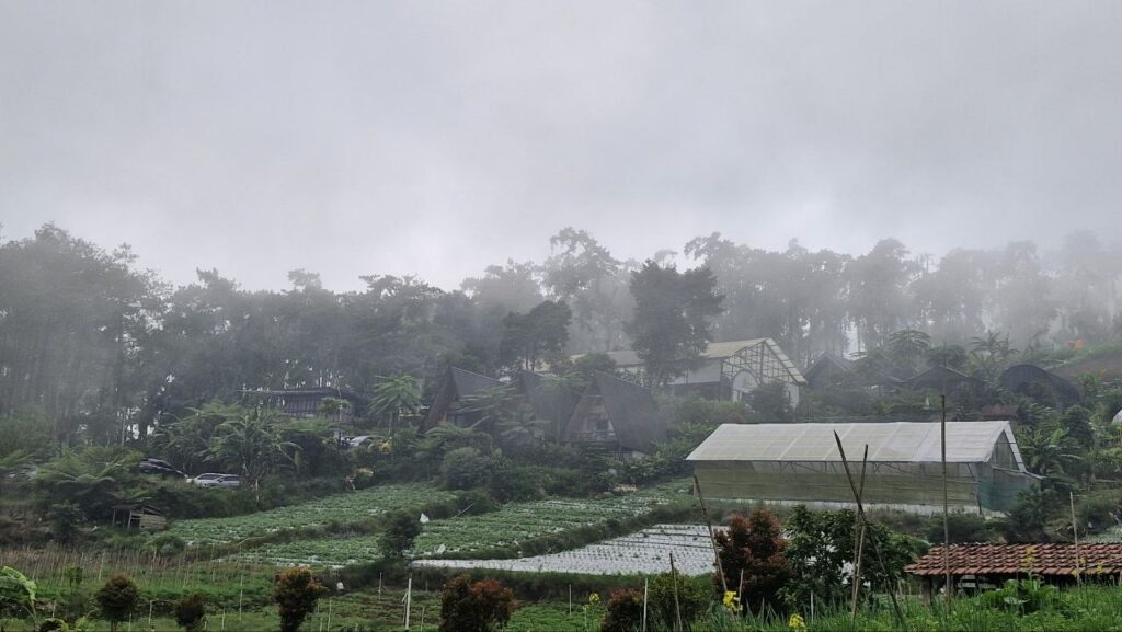 Outdoor seating area at Sarangsari Hills Sarangan with forest view