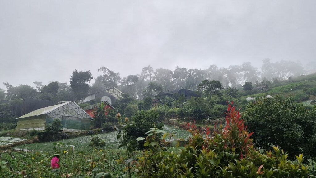 Scenic photo spot at Sarangsari Hills Magetan East Java