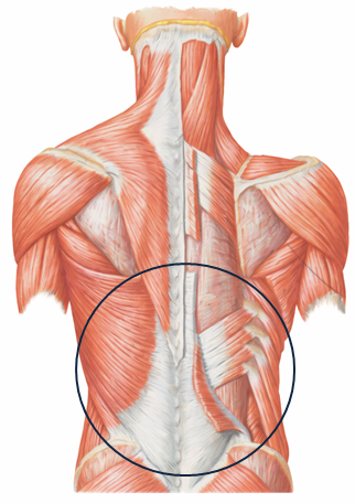 Back pain during long journey sitting in bus or airplane seat